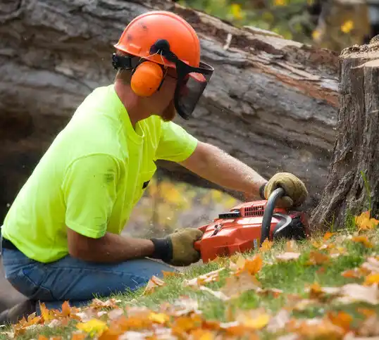 tree services Kinder